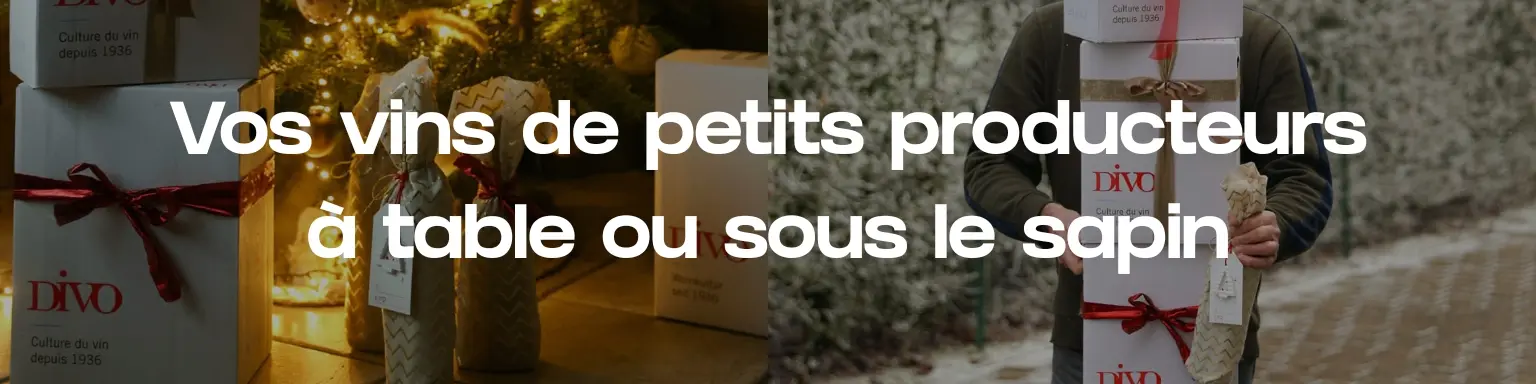 Vins de fêtes