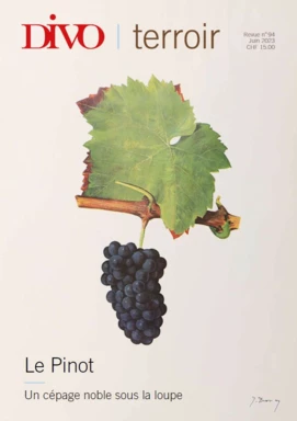 Le Pinot